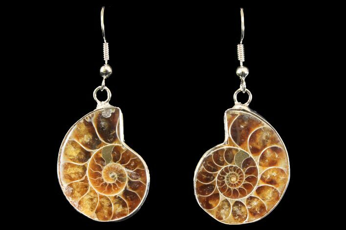 Fossil Ammonite Earrings - Million Years Old #142853